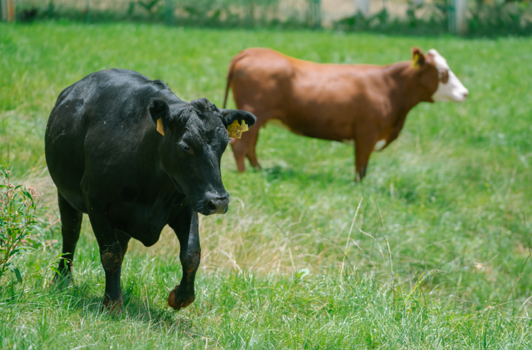 1685948327503211.png 640.png